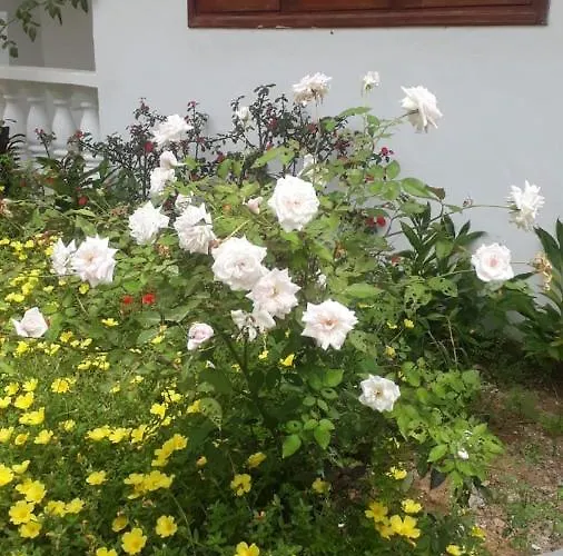 Ogumka, Self Catering , Beoliere, Mahe Pensionat