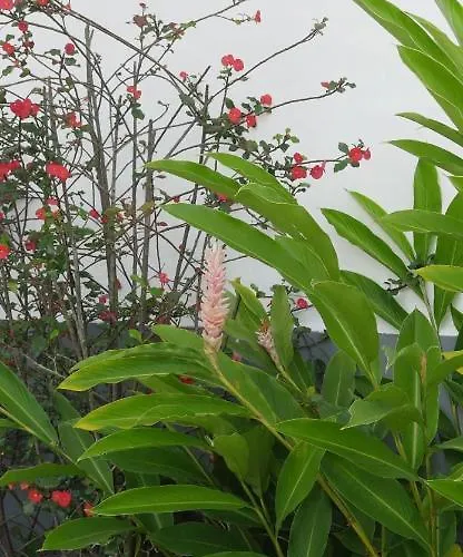 Ogumka, Self Catering , Beoliere, Mahe