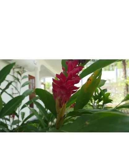 Pensionat Ogumka, Self Catering , Beoliere, Mahe Victoria